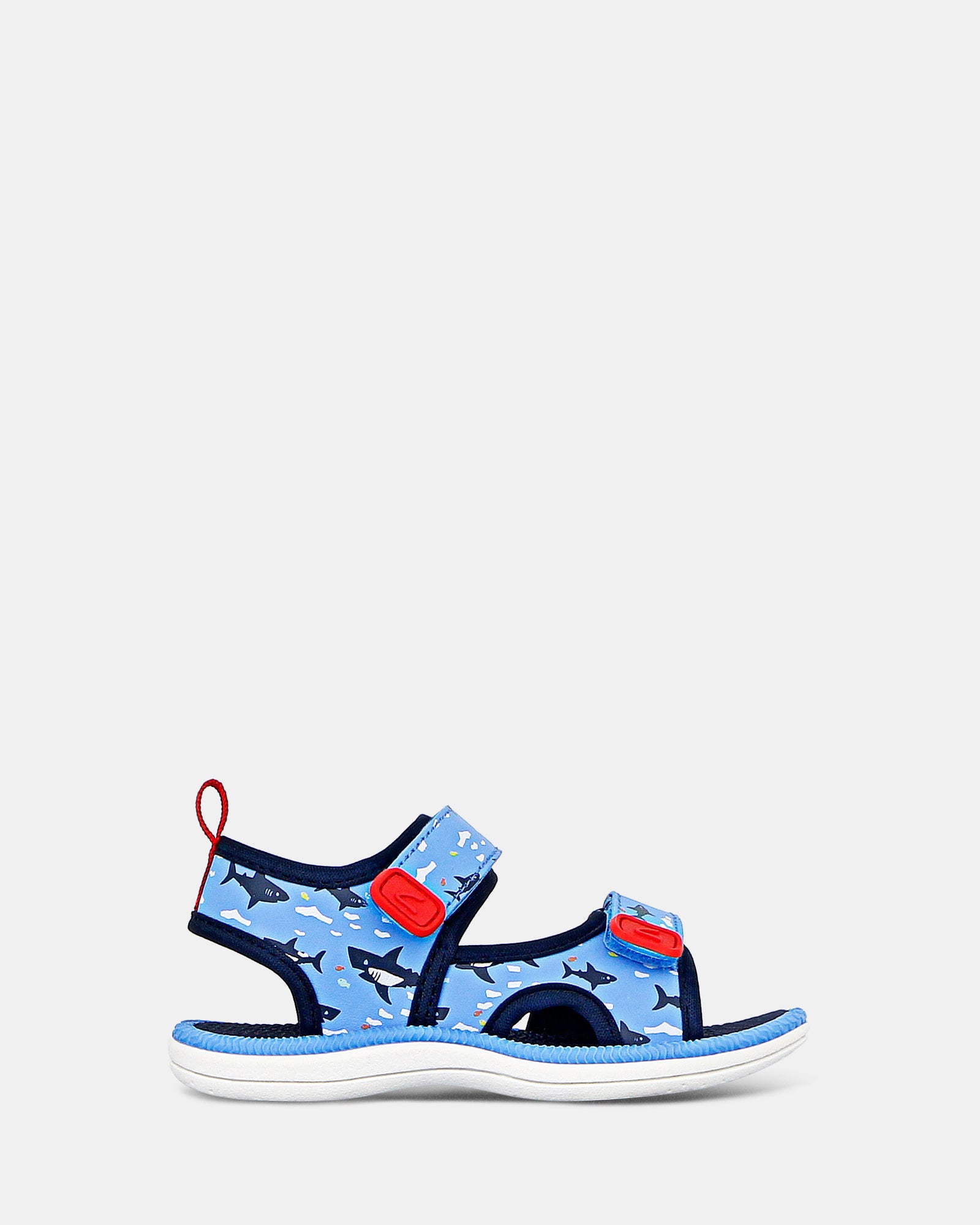 Fisher Blue Sharks – Clarks