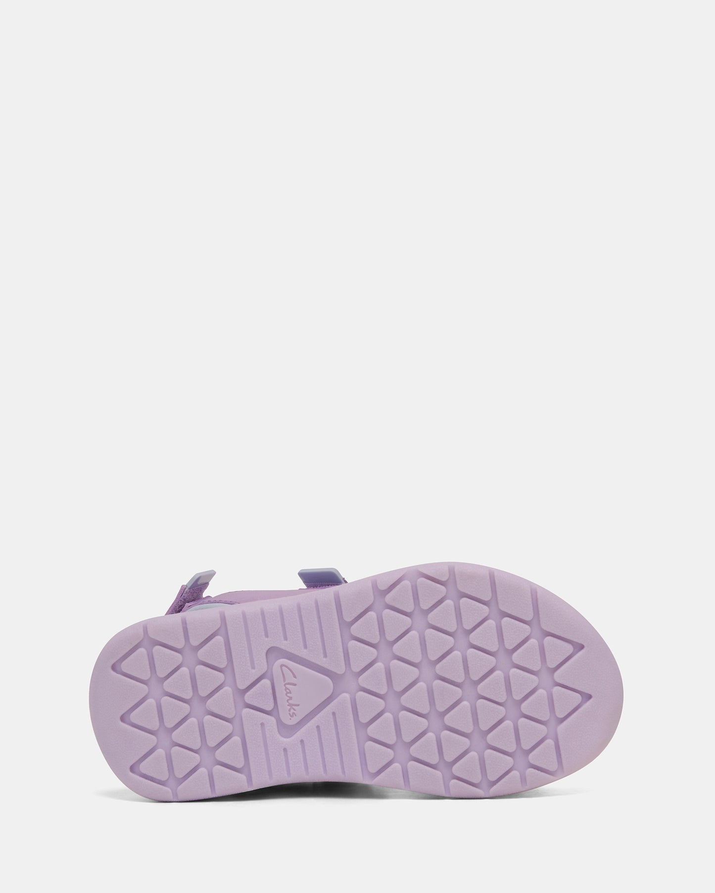 Wistful Lilac/Light Blue