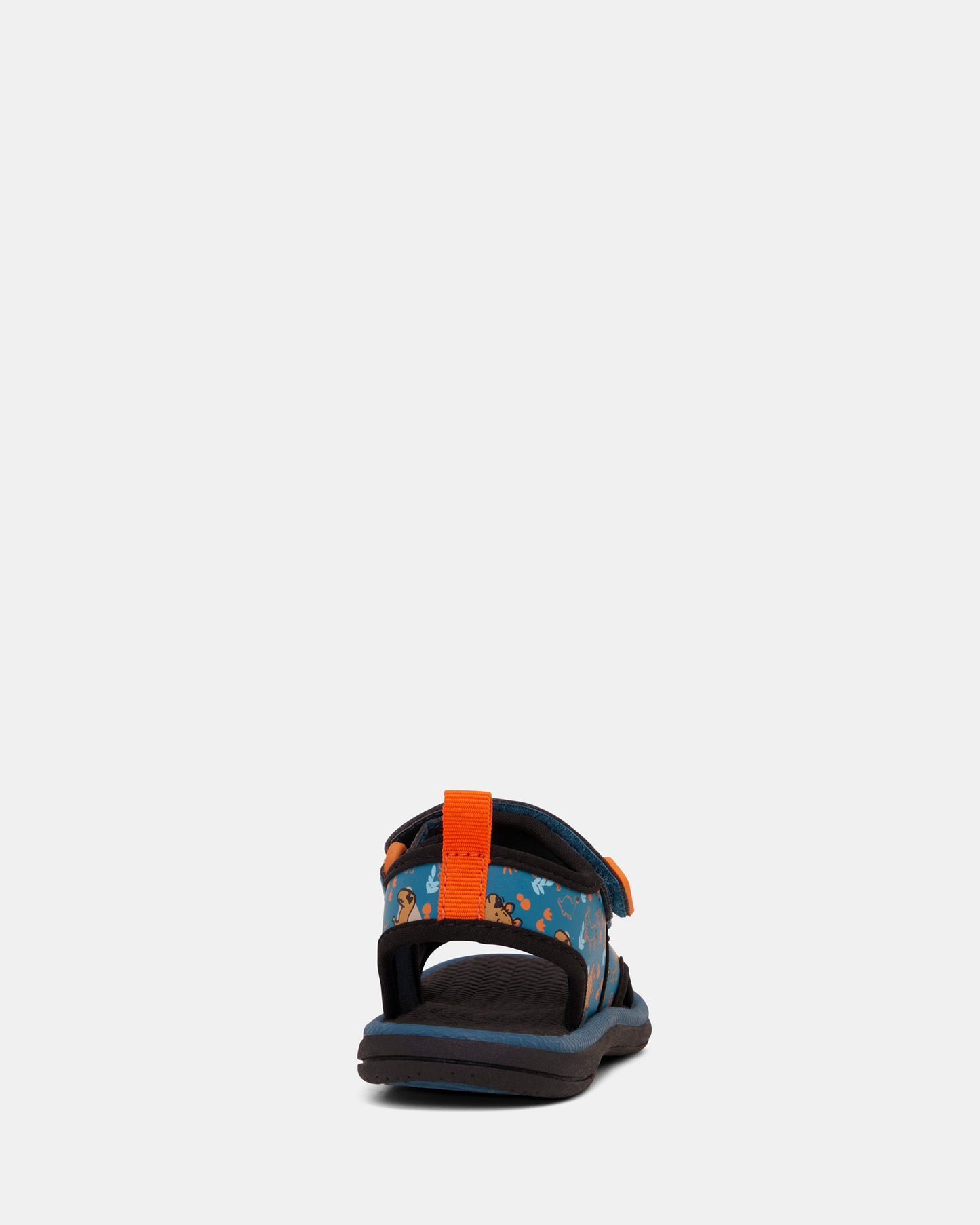 Fisher Teal Black Dino