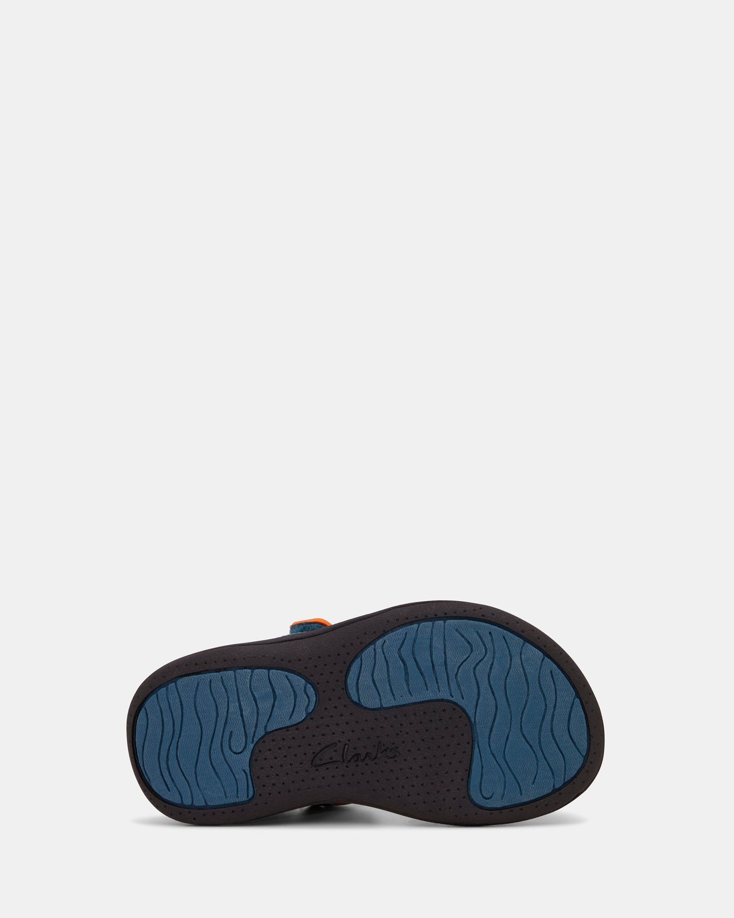 Fisher Teal Black Dino