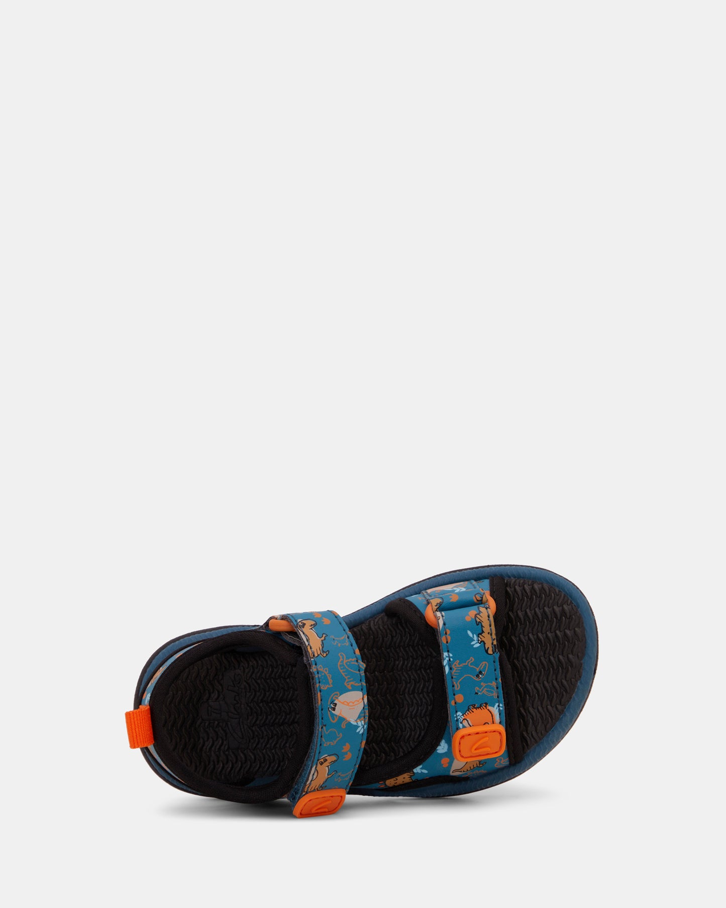 Fisher Teal Black Dino