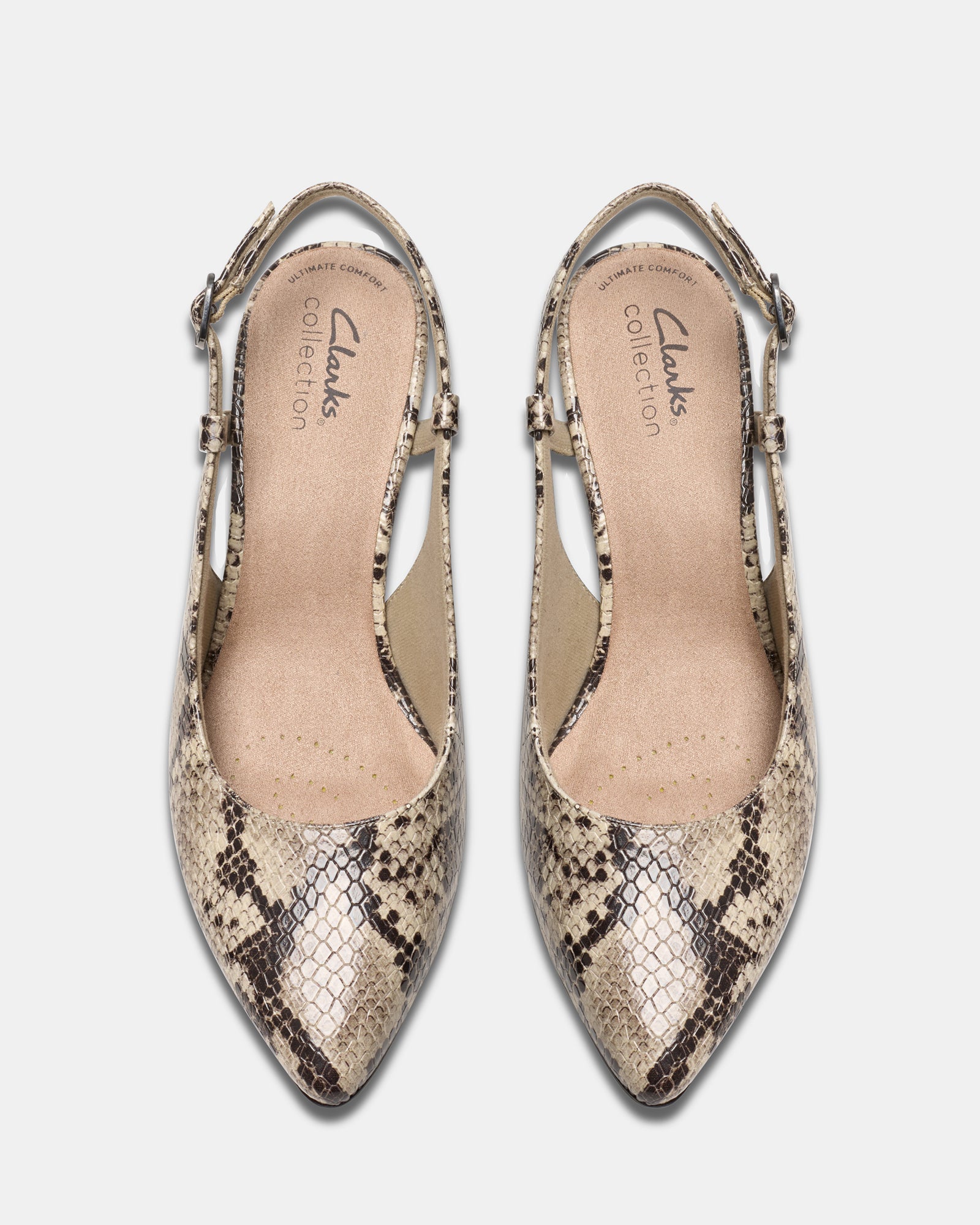 Clarks Sneakers Clarks Snakeskin Pumps Clarks Sheer Rose Womens