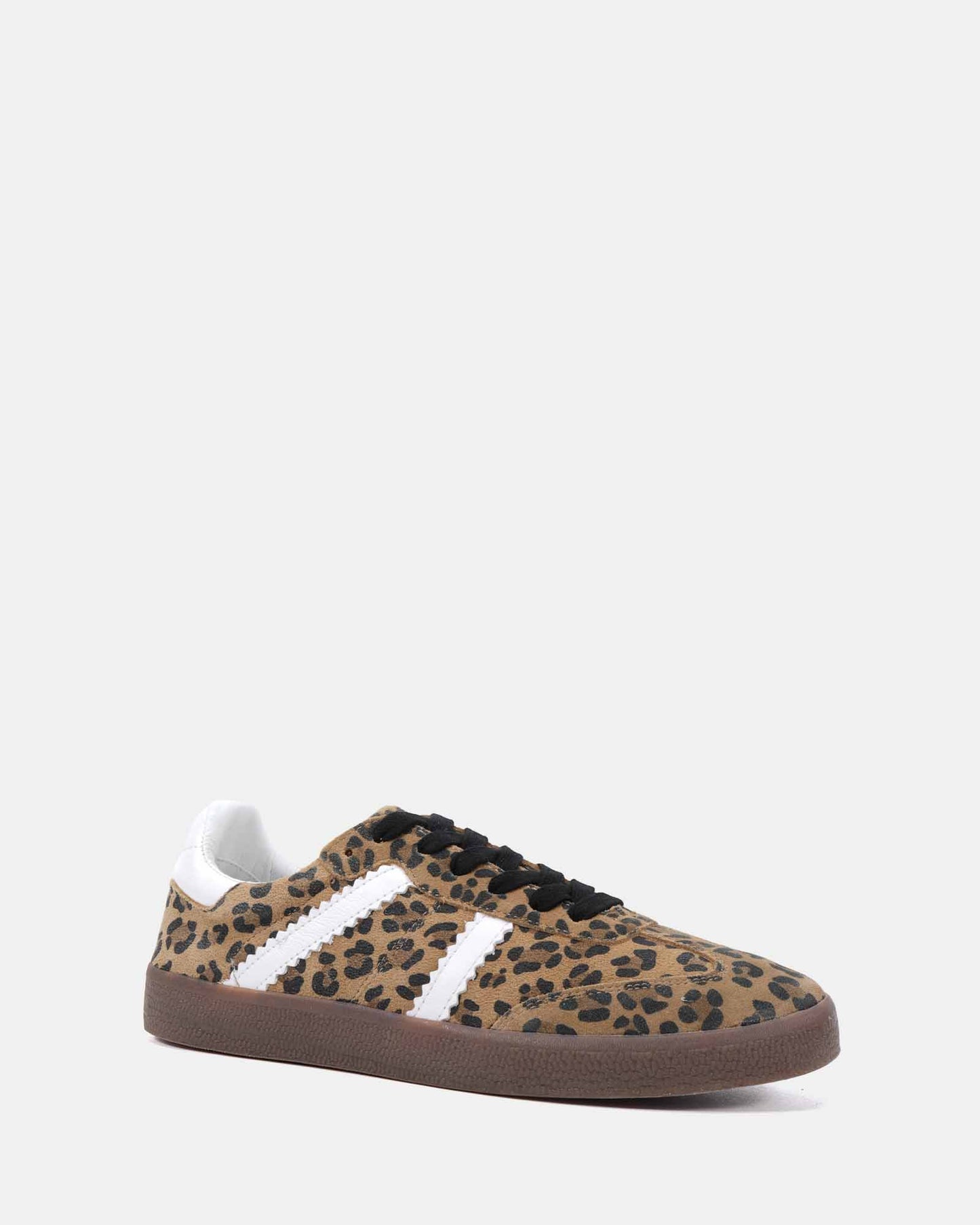 ALORA_Leopard_2