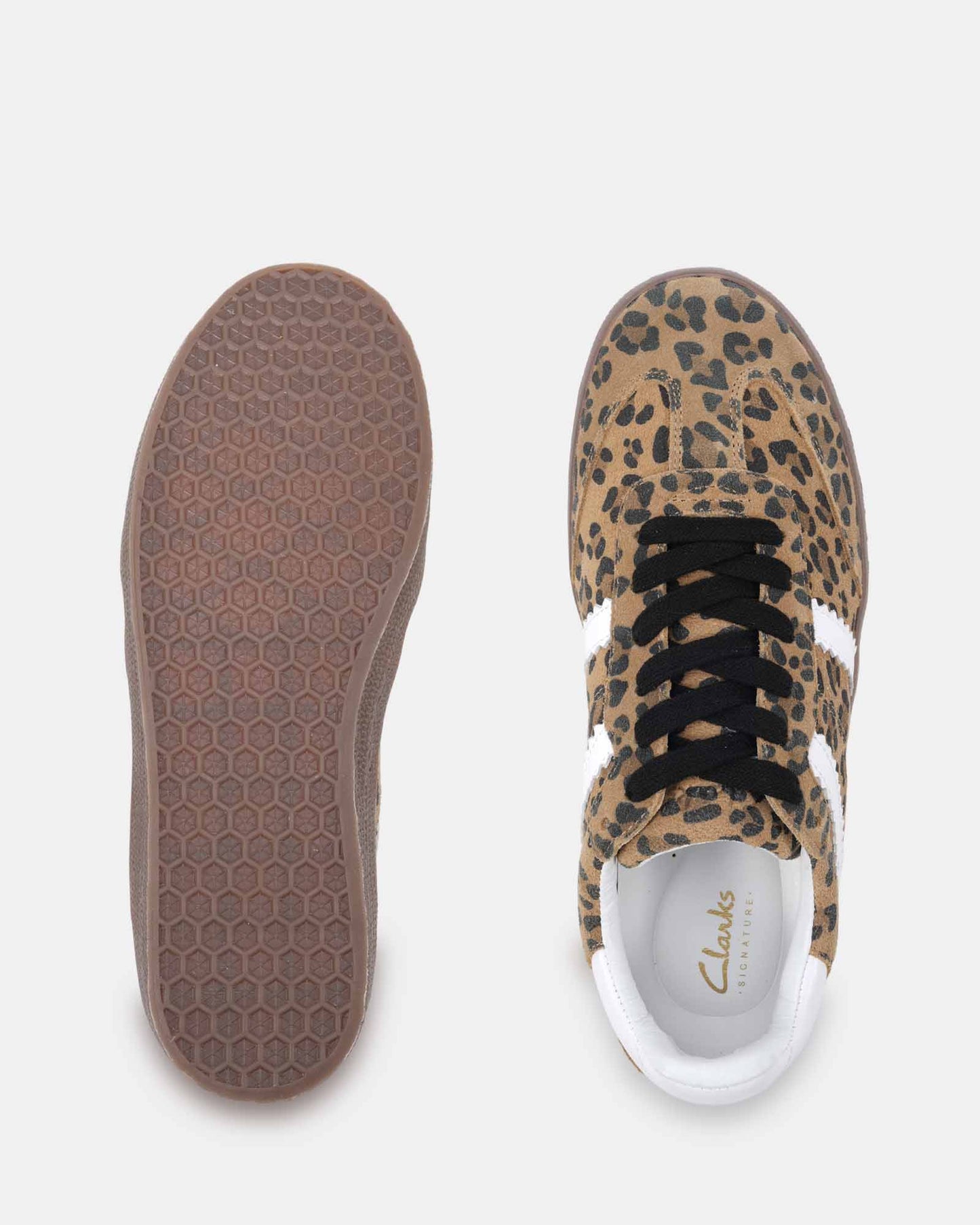 ALORA_Leopard_5