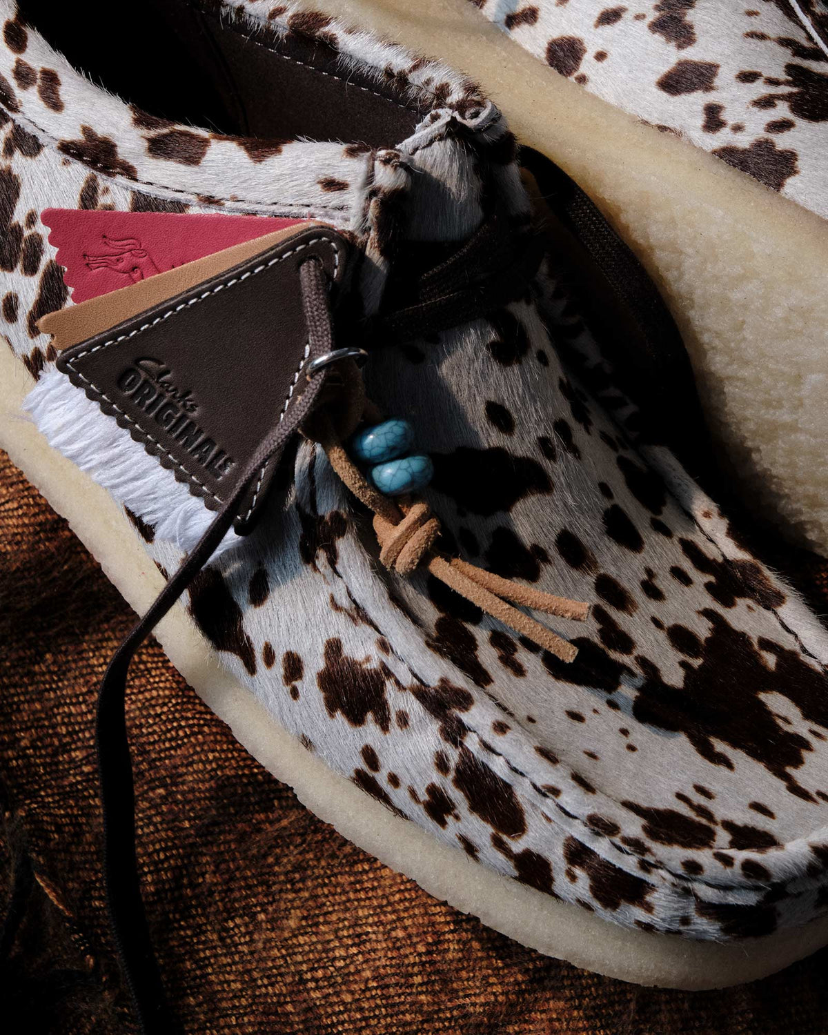 Brown_Cow_1