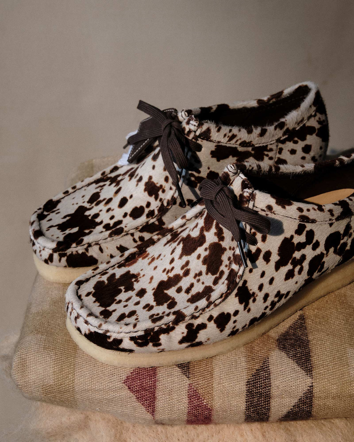 Brown_Cow_2