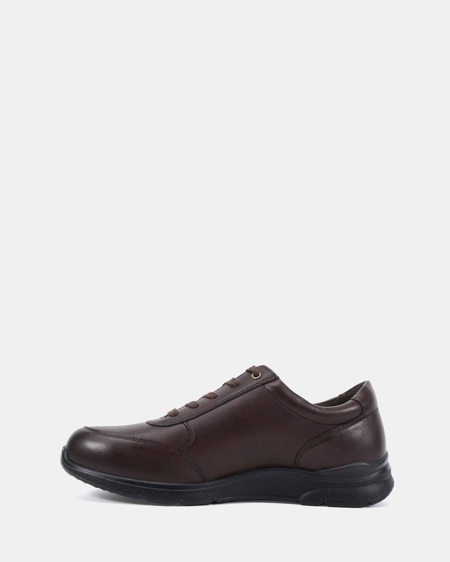 ENRICO_Chestnut_4