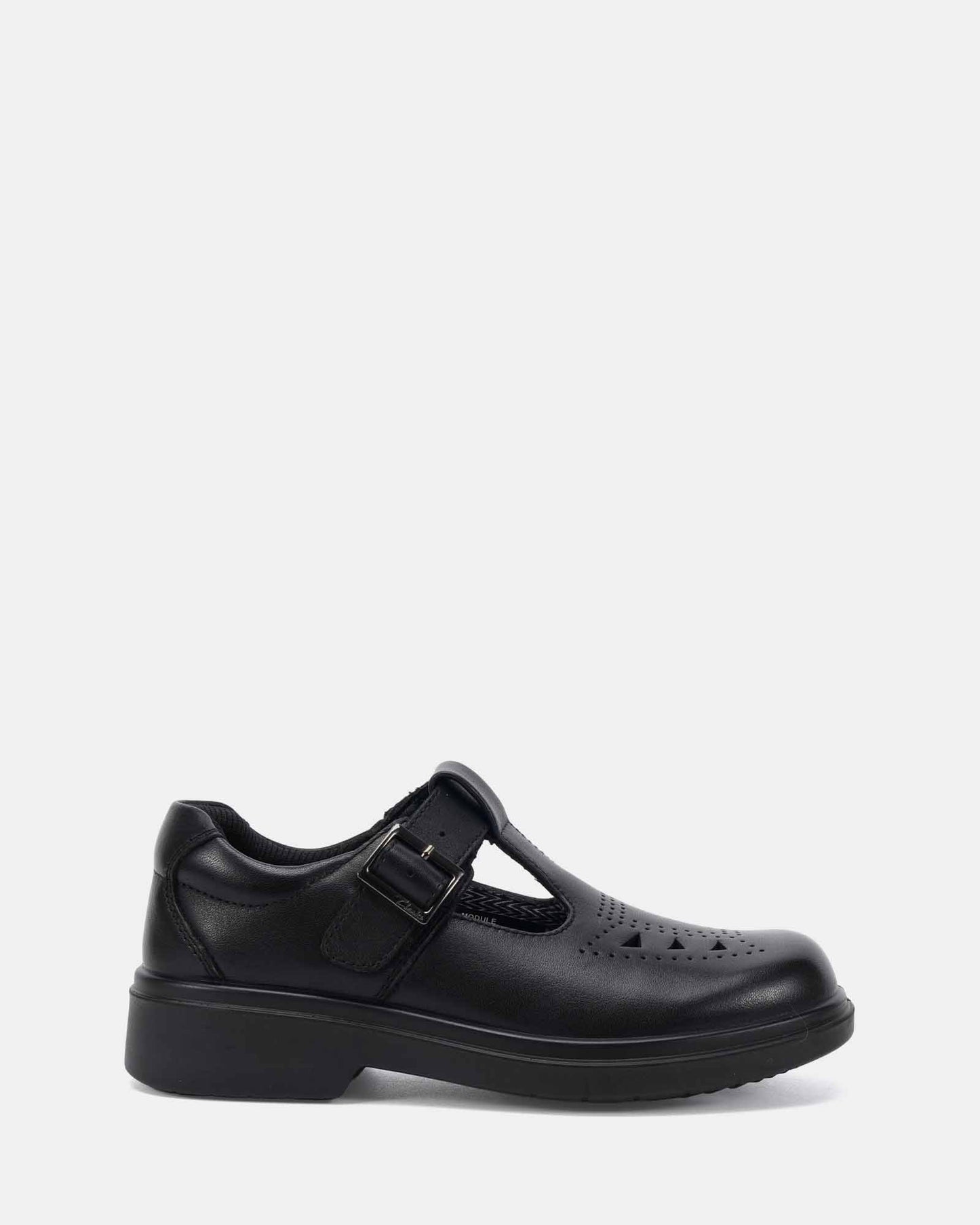 MODULE_Black_Leather_1