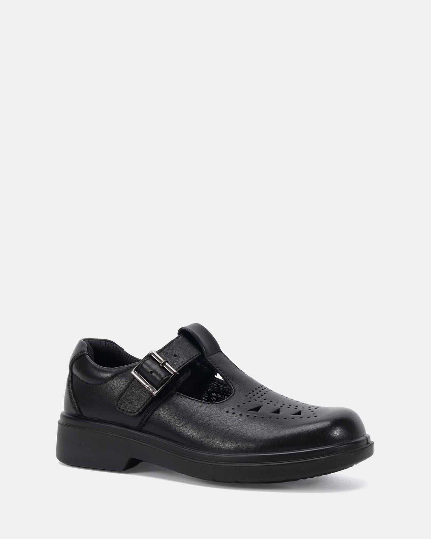 MODULE_Black_Leather_2