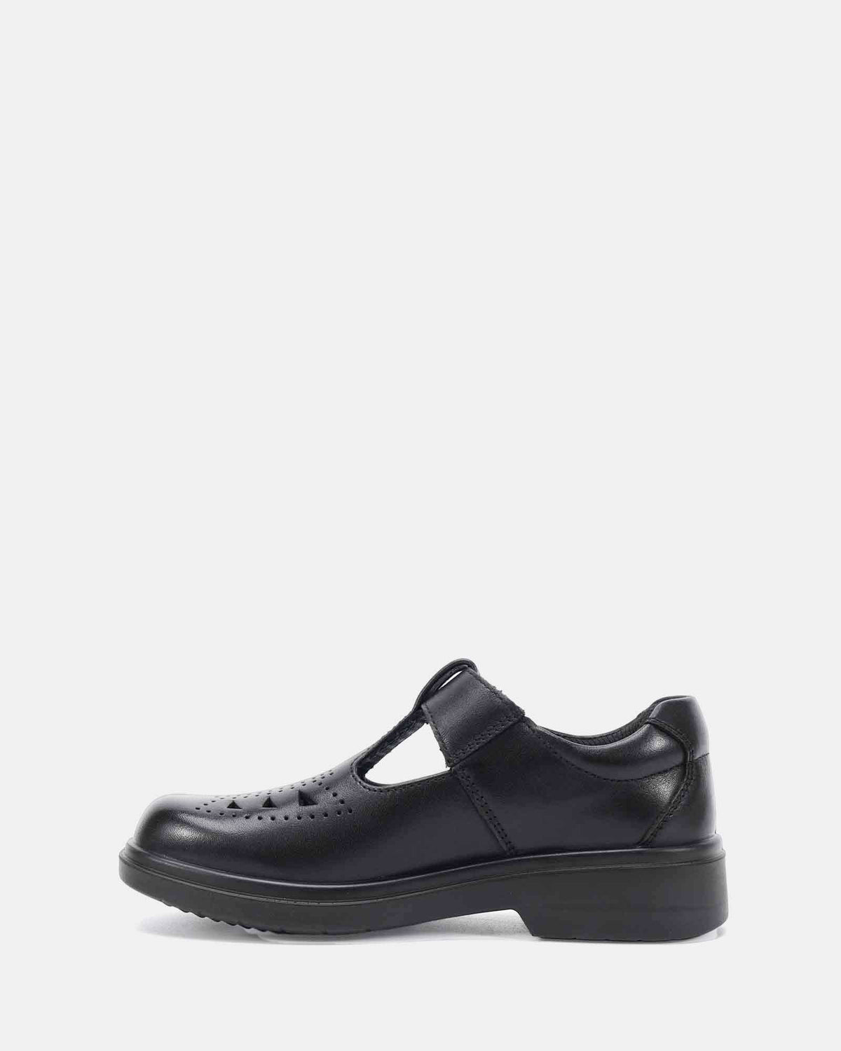 Module Black