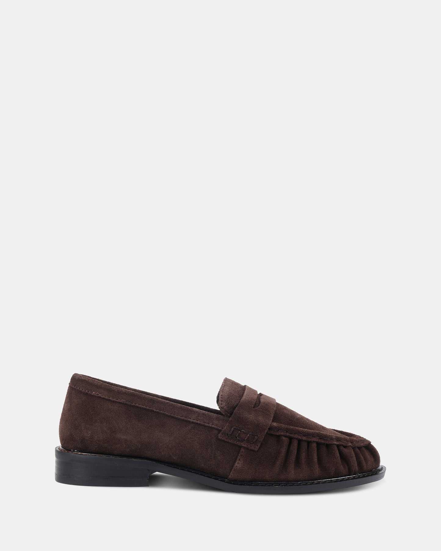 PRUDENCE_Brown_1