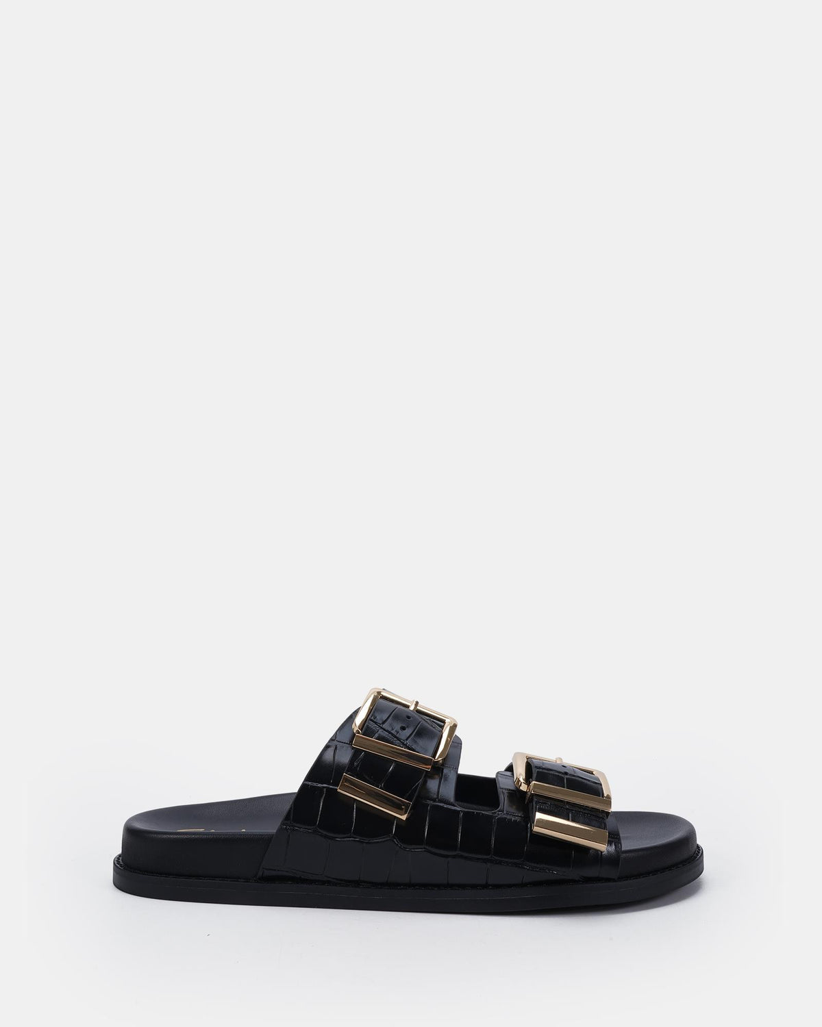 Seychelles Black Croc