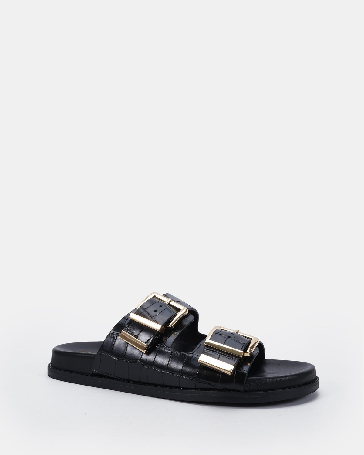Seychelles Black Croc