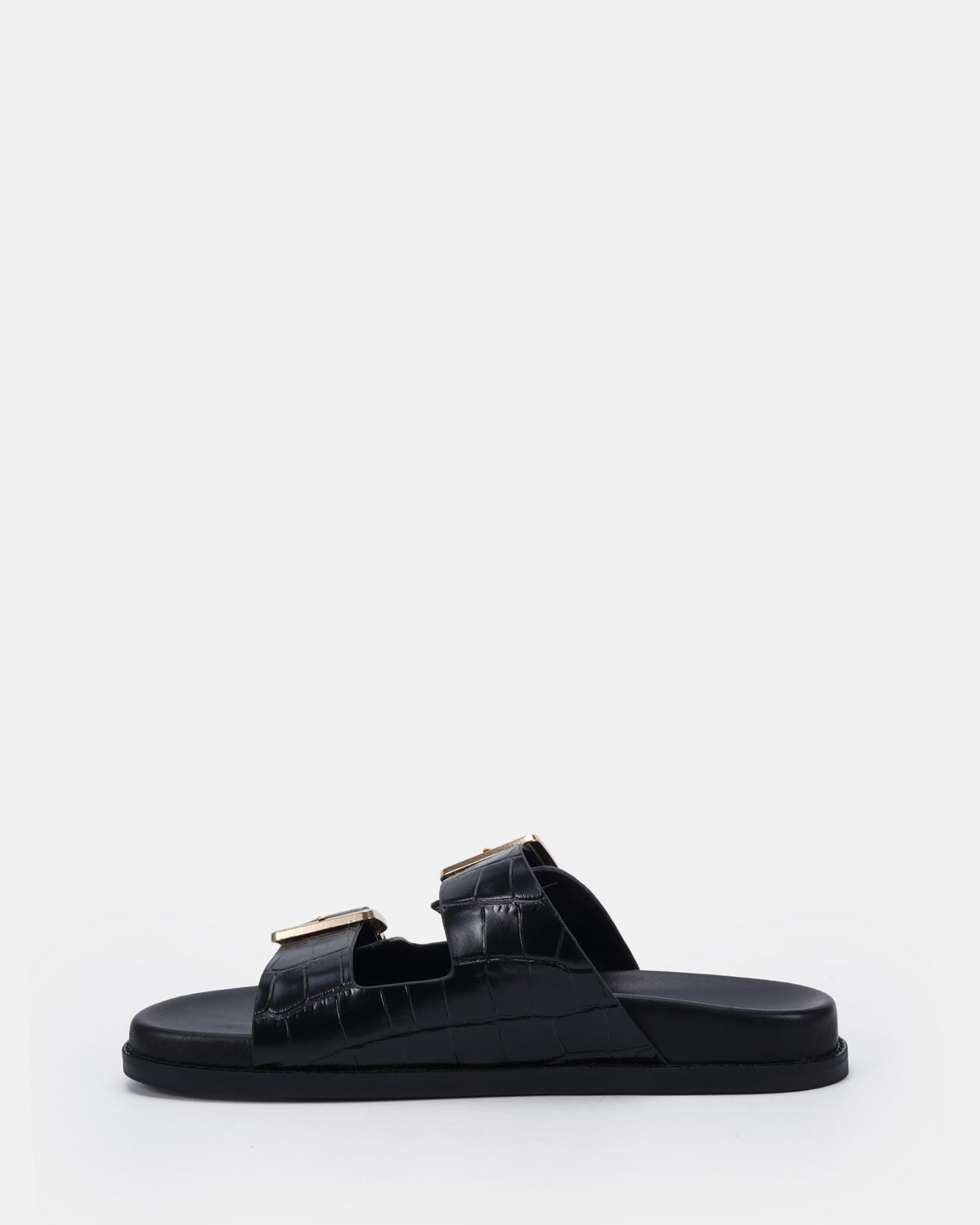 Seychelles Black Croc